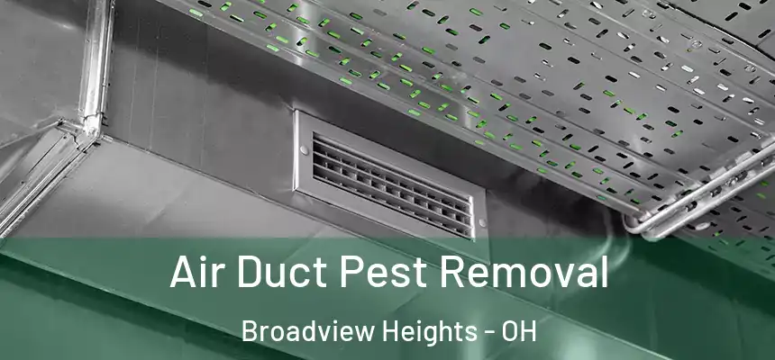  Air Duct Pest Removal Broadview Heights - OH