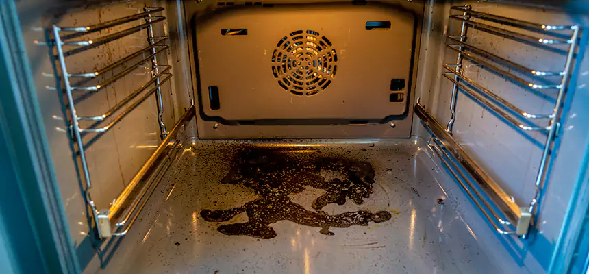 Our Dryer Vent Mold Cleaning Services in Broadview Heights, OH