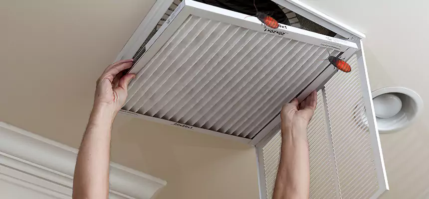 Our Insect Removal from Air Ducts Services in Broadview Heights, OH