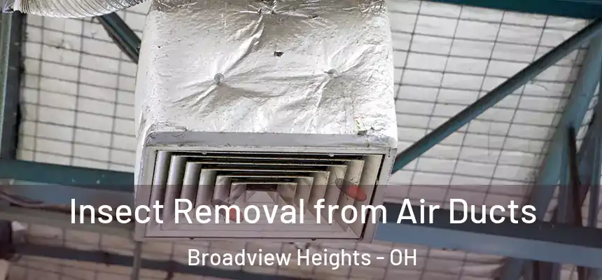  Insect Removal from Air Ducts Broadview Heights - OH