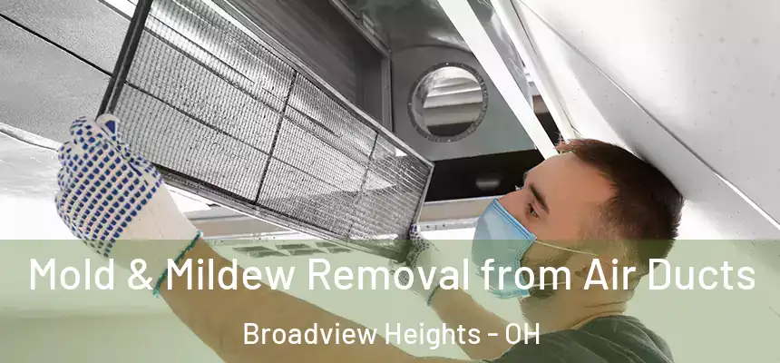  Mold & Mildew Removal from Air Ducts Broadview Heights - OH