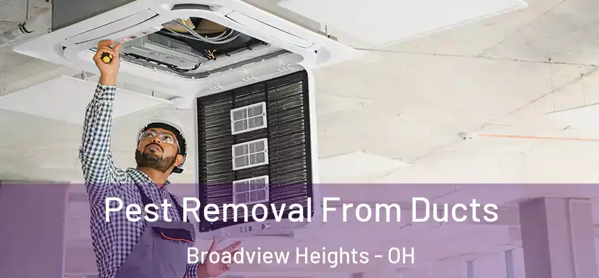  Pest Removal From Ducts Broadview Heights - OH