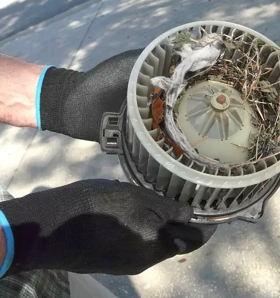 About Air Duct Rat Removal in Broadview Heights, OH