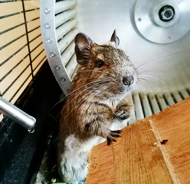 Why Homeowners & Businesses Trust Us Broadview Heights, OH